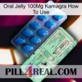 Oral Jelly 100Mg Kamagra How To Use new02